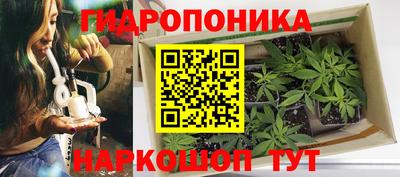 ALPHA PVP Канаш