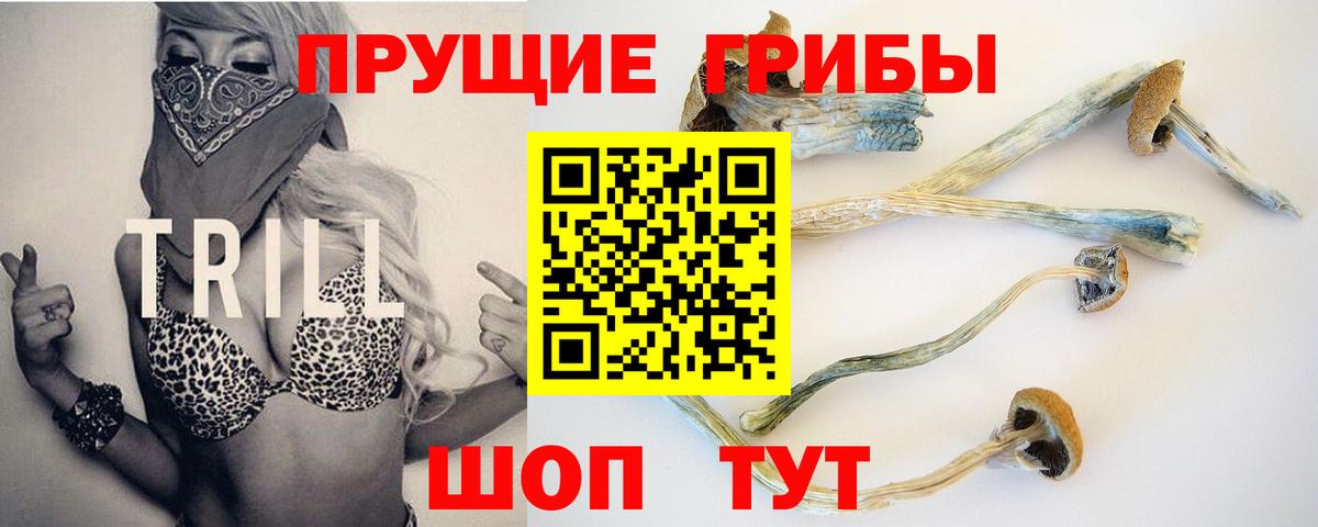 Галлюциногенные грибы MAGIC MUSHROOMS  Вход с VPN  Заринск 